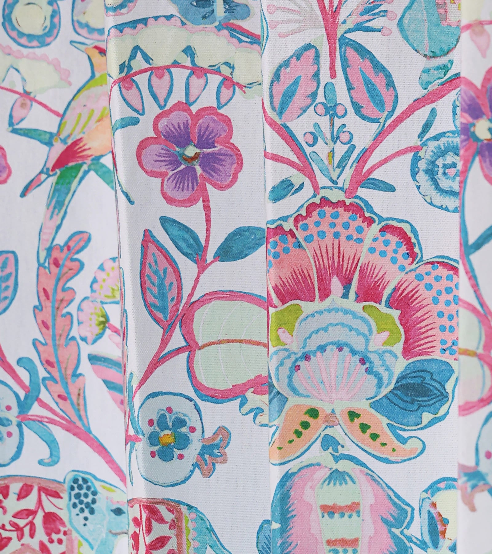 Maharaja - Bangalore 8744 / Flamingo 229